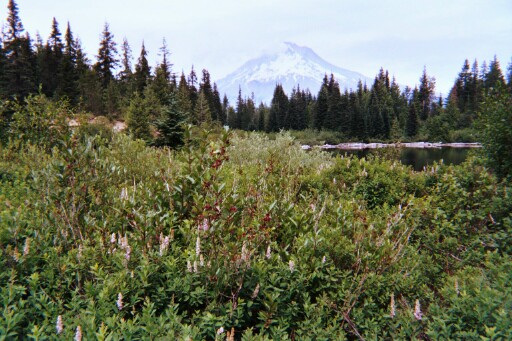 smhoodhike2.jpg